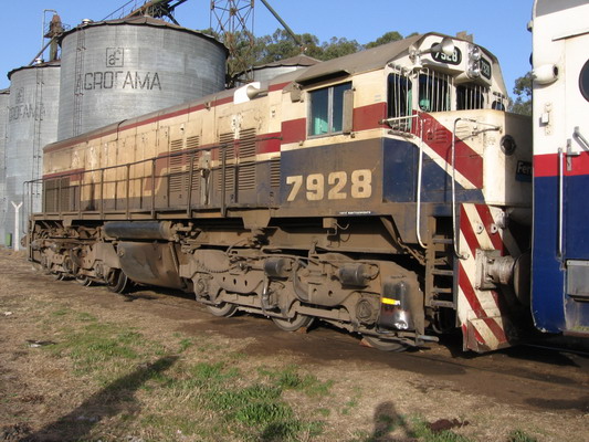 7928